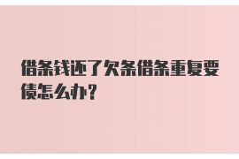 博尔塔拉专业催债公司的市场需求和前景分析